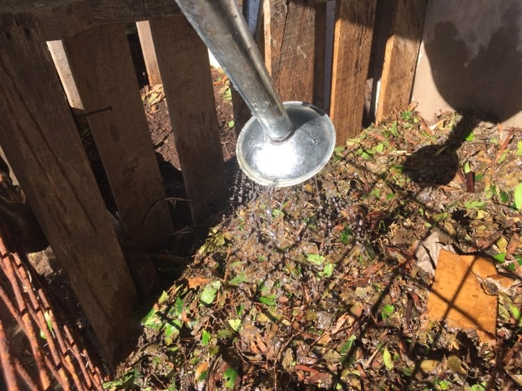 watering compost