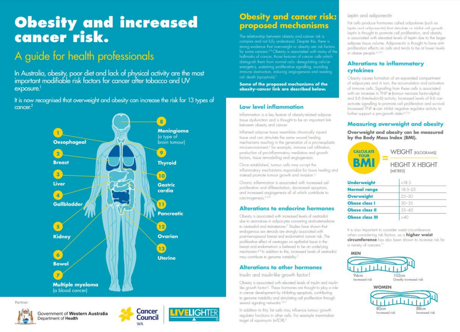 Weight and cancer factsheet for health professionals