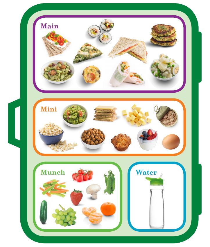 Main mini munch lunchbox