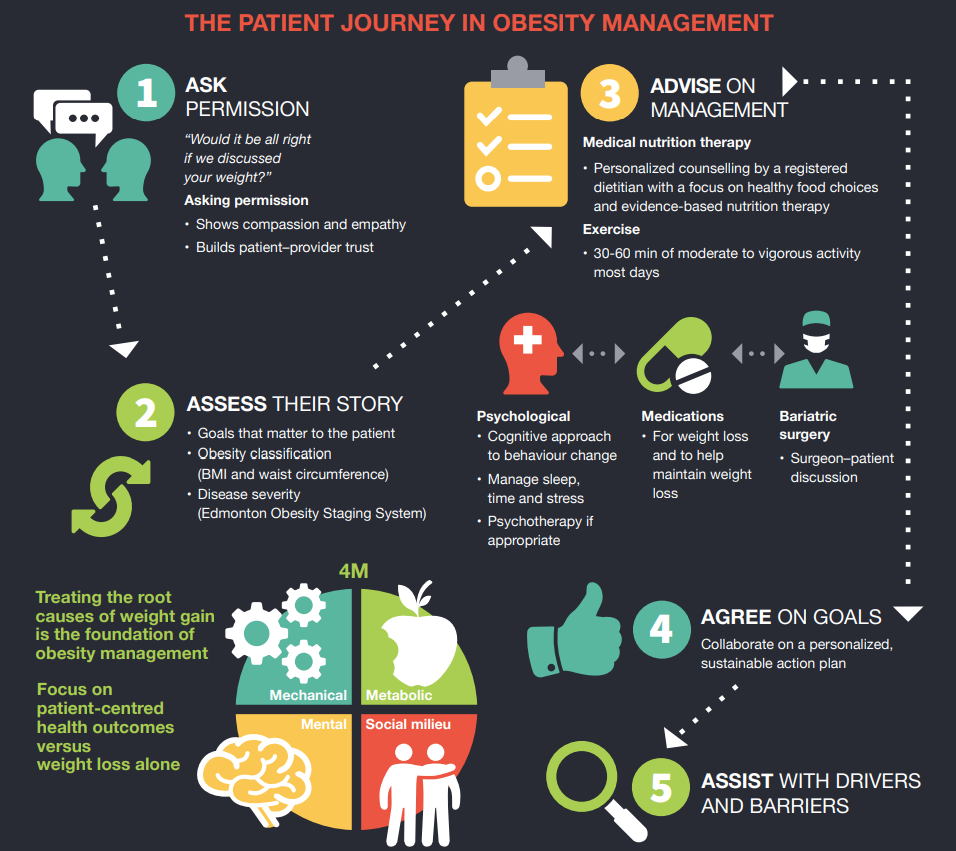The patient journey in obesity management